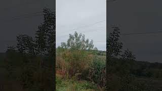 прикордоння...
