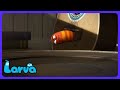 Larva - Dança no Alto-falante! | Desenhos Infantis | WildBrain Arena de Ação