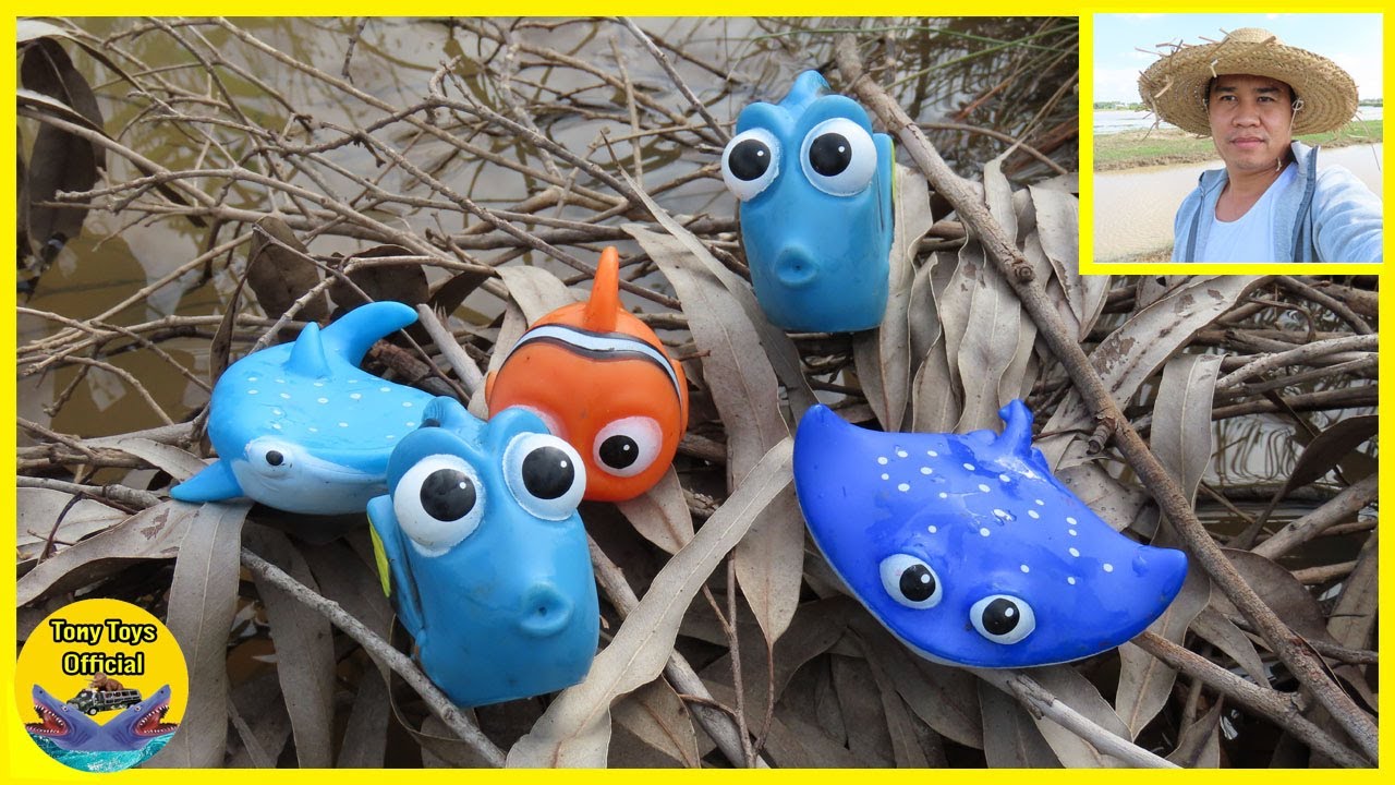 How to Catching blue shark at the country side #41