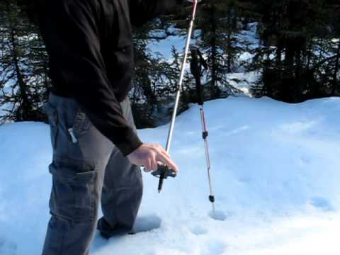 black diamond trekking pole baskets