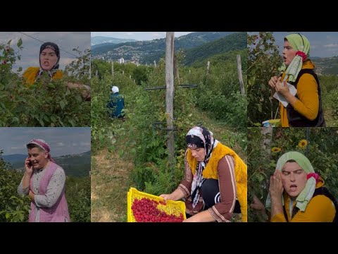 Mama i maline | 3. DIO 🤣 BALKAN | seadhr