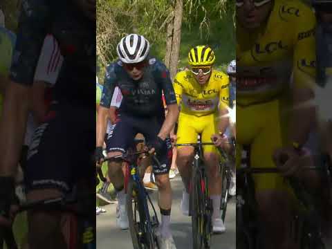 Throwback Tour de