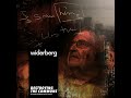 Widerberg  biologically unique  the noam chomsky music project