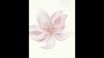 Process Video on Procreate #processvideo #flowers #procreate