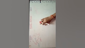 POWER SHARING 10nth civics first chapter