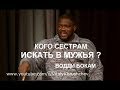 Водди Бокам "Кого сестрам искать в мужья?"