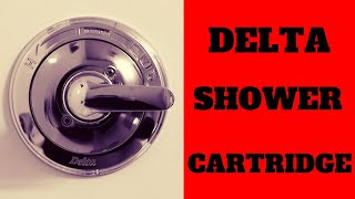 How To Replace A Delta Shower Cartridge - Do It Yourself!!!!