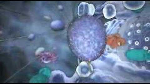 Expelled Movie Clip Exclusive Cellular Technology Explained