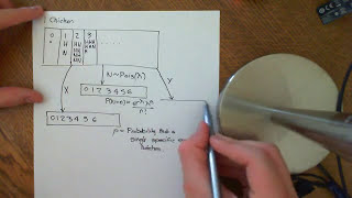 Joint Probability Mass Functions Part 1
