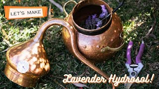 Making lavender Hydrosol using an Alembic column Still and steam distillation