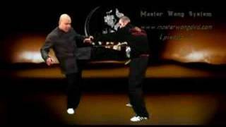 Wing Chun Training YouTube - With Master Wong EPS 12 screenshot 3