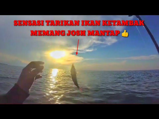 Lumayan Juga Tenaga Tarikan ikan ini Boss || Mancing teknik ngerobok setengah badan class=