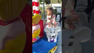 Athena Sonntagsfahrten ...