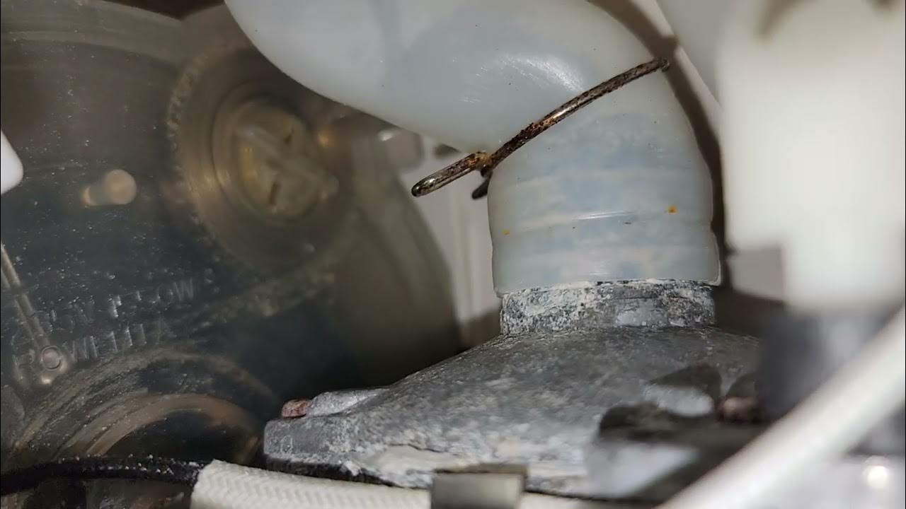 Cleaning, descaling, and disassembling a Rowenta 1550W garment steamer