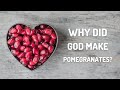 What are the Health Benefits of Pomegranate?