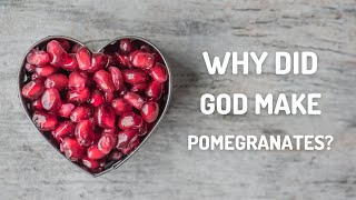 What are the Health Benefits of Pomegranate?