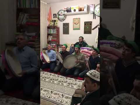 KOTEKAN SEYİD ŞEYH MUHAMMED SELİM