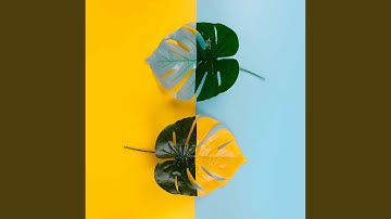 Pulsating Waltz - Vibe for Winding Down Story