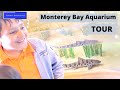 Monterey Bay Aquarium Tour, Monterey, California