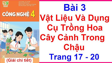Công Nghệ Lớp 4 Bài 3 Vật Liệu Và Dụng Cụ Trồng Hoa Cây Cảnh Trong Chậu Trang 17 20 Kết Nối Tri Thức