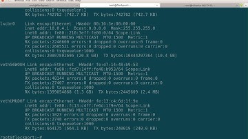 Flockport Container Networking