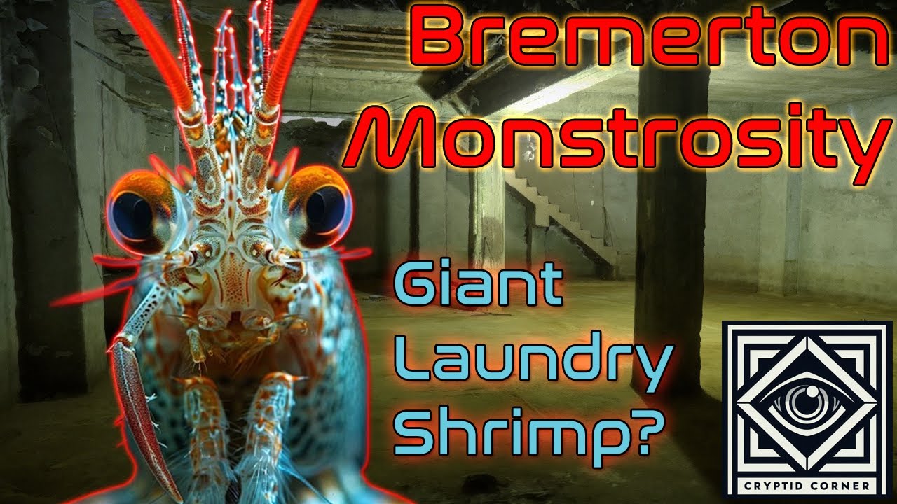 The Bremerton Monstrosity | The Giant Laundry Room Shrimp?