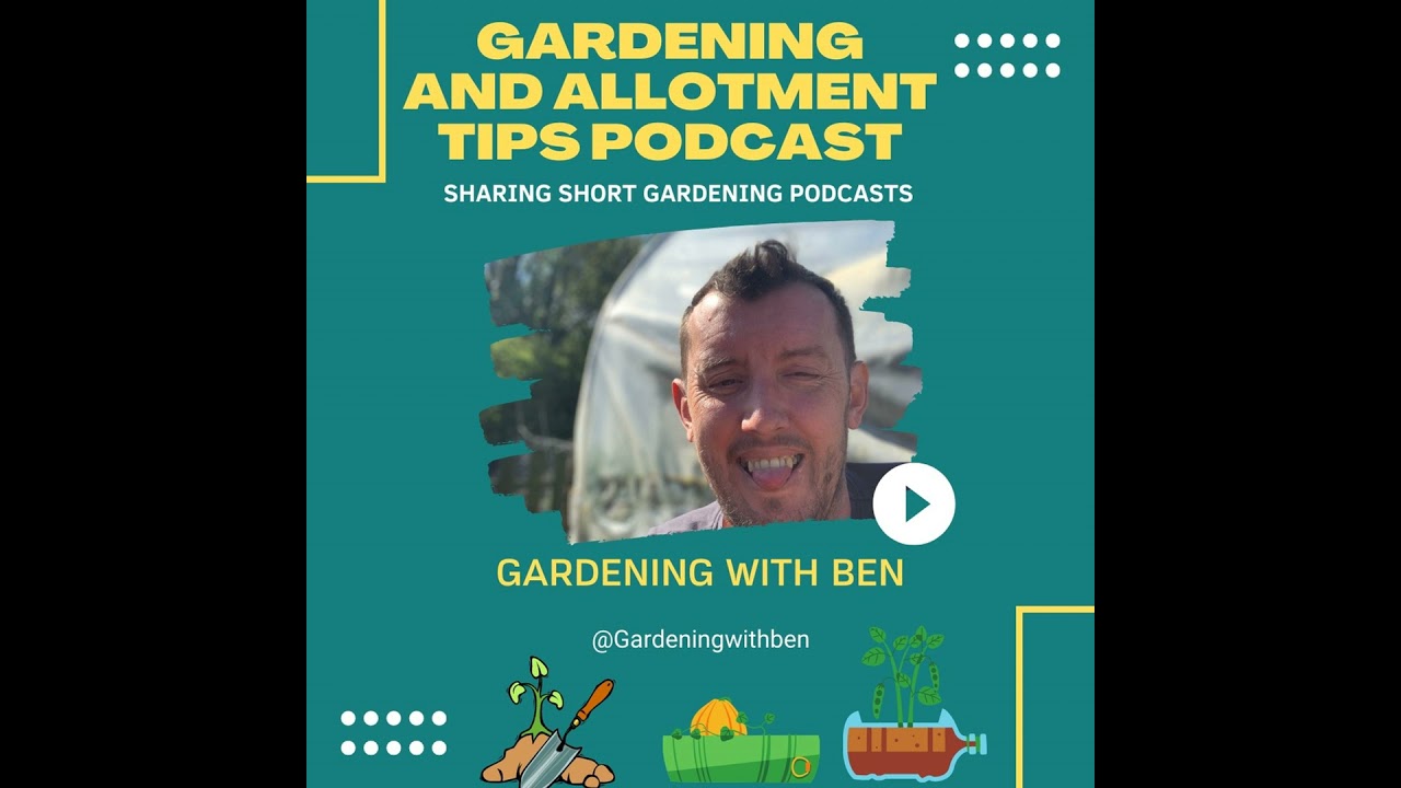 🎥 ✅ 🌼 Why We Should Deadhead Flowers 🌿 | Garden Tips & Allotment Advice 🎧