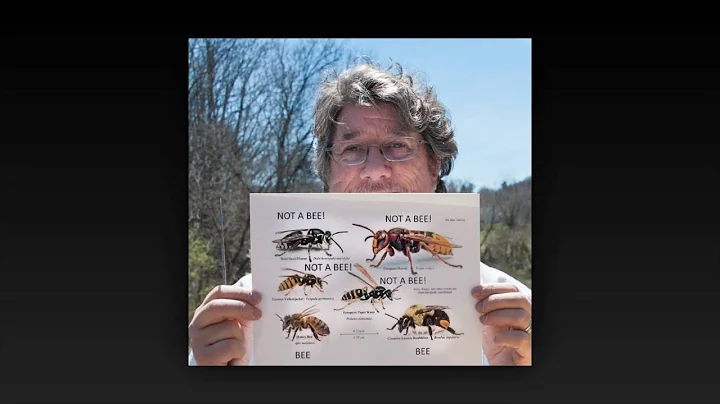 Library Out Loud:   Billy Neumann, Photographer an...