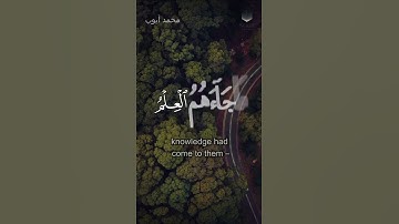 تلاوة محمد ايوب 💛