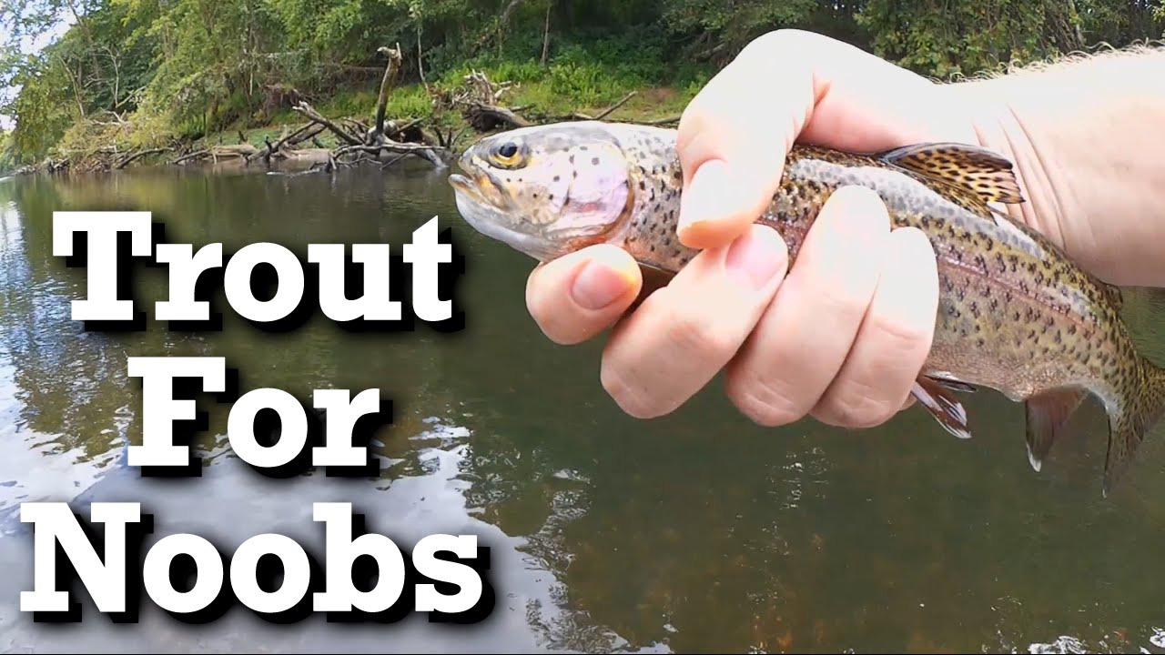 Beginner trout fishing with Power Bait - Trout Bait 