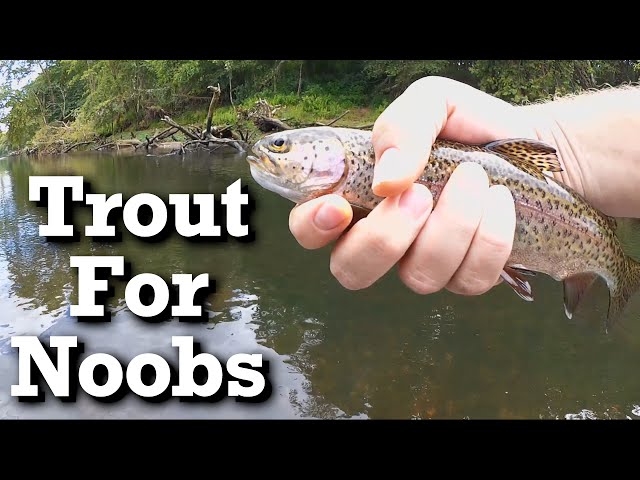 Beginner trout fishing with Power Bait - Trout Bait 