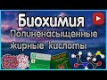 Биохимия. Лекция 11. Полиненасыщенные жирные кислоты. Продукция и функция простагландинов.