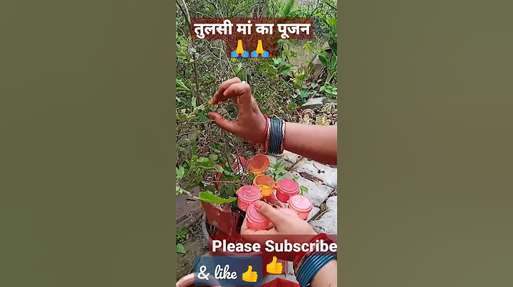 तुलसी मां का पूजन। 🙏🙏