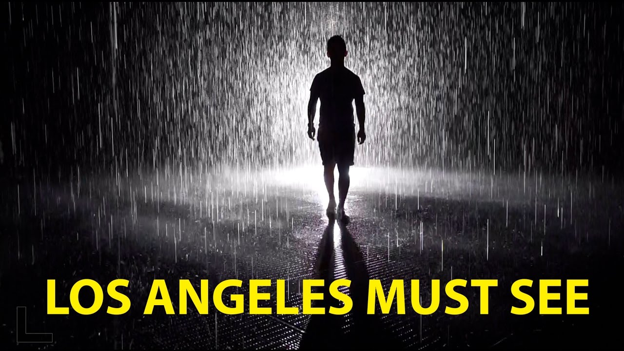 LACMA: Rain Room Review