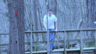 Final Project Rough Cut