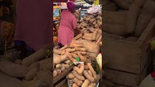 Tubers of Yam in abundance at Asafo street market in Kumasi, Ghana 🇬🇭 #ghana