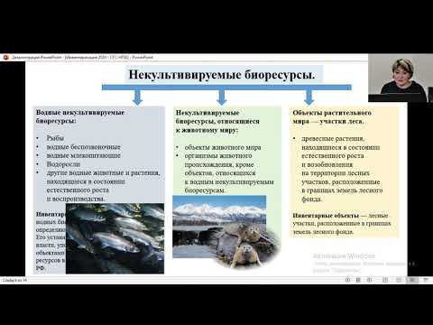 Непроизведенные активы 2021. Новый стандарт 2021