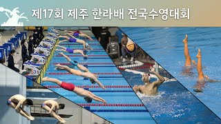 제17회 제주 한라배 전국수영대회 경영 6일차