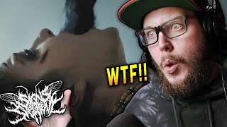 Download Lagu ba BOOM!! SIGNS OF THE SWARM - Unbridled (REACTION / REVIEW) MP3