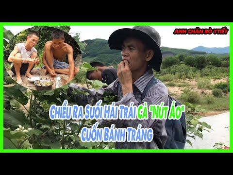 Video Chiều Ra Suối Hái Trái Cà 