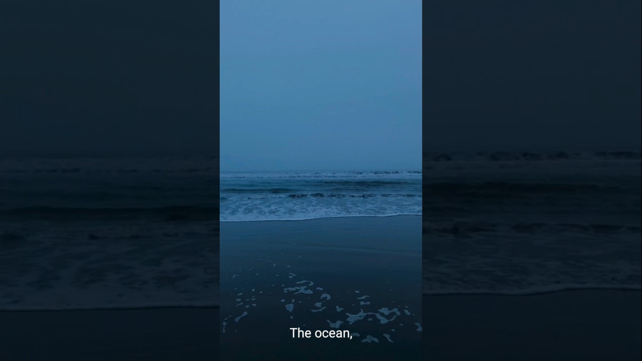 Exploring The Unknown: Oceanic Life, 