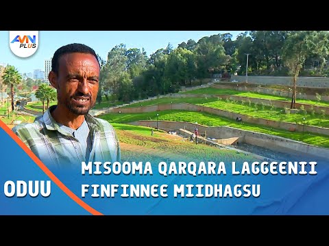 MISOOMA QARQARA LAGGEENII FINFINNEE MIIDHAGSU