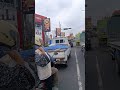 Benih Nila otw Gobras tasik