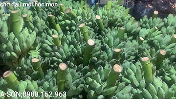 158#CHUỐI XIÊM 10 NGÀN 1KG,CHÈ XANH 18 NGÀN 1KG,CHỢ ĐẦU MỐI HÓC MÔN