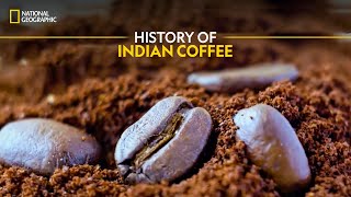 History of Indian Coffee | It Happens Only in India | National Geographic