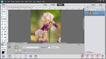 Greeting Card Setup Printing Photoshop Elements 11 12 13 Windows Canon Vertical