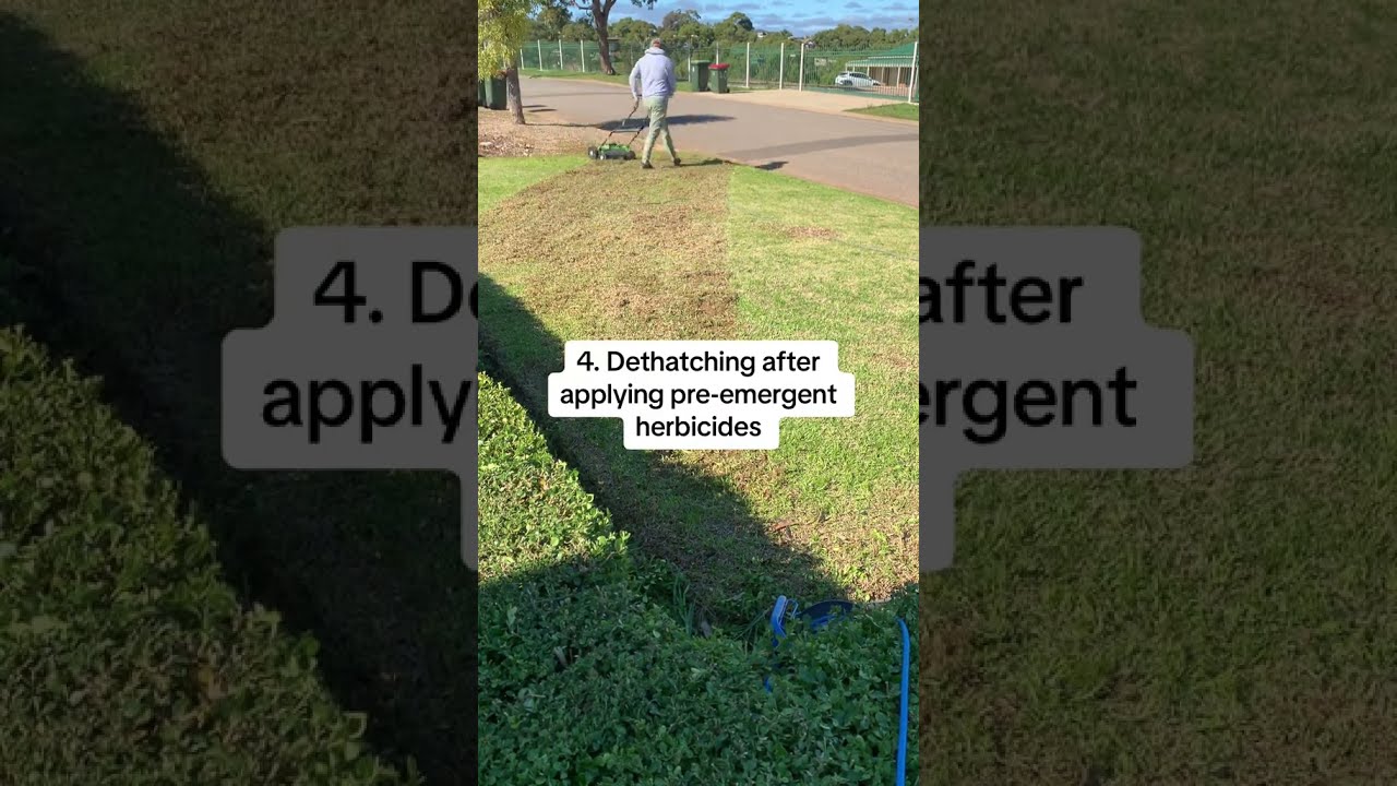  Lawncare Common Mistakes Made When Dethatching For You To Avoid Det