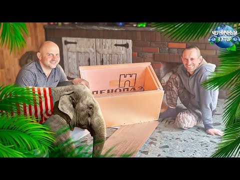 Жизнь на хуторе.Термоящик из пеноплэкса для рыбалки и путешествий ...