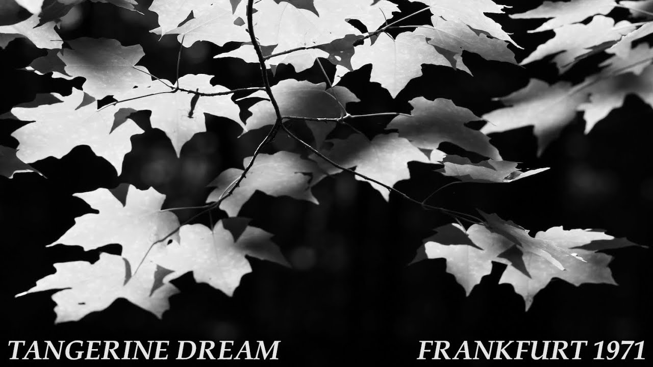 Tangerine Dream Frankfurt 1971 YouTube