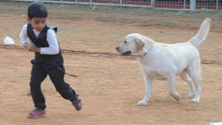 Thrissur Canine Club 25th & 26th All Breeds  Championship Dog Show 2016.